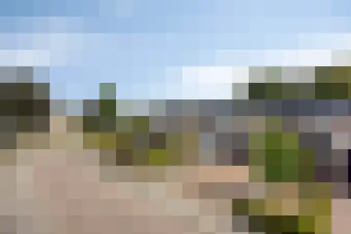 Nachtegaalstraat 6 Mill thumbnail 7