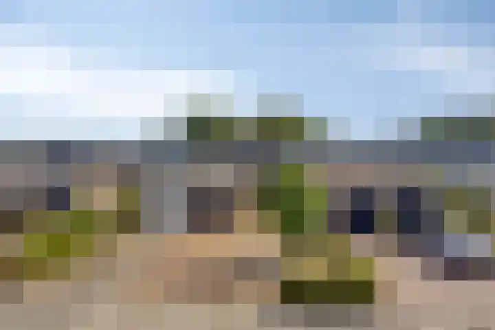 Nachtegaalstraat 6 Mill thumbnail 8