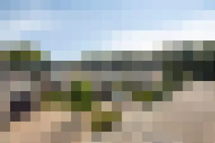 Nachtegaalstraat 6 Mill thumbnail 9