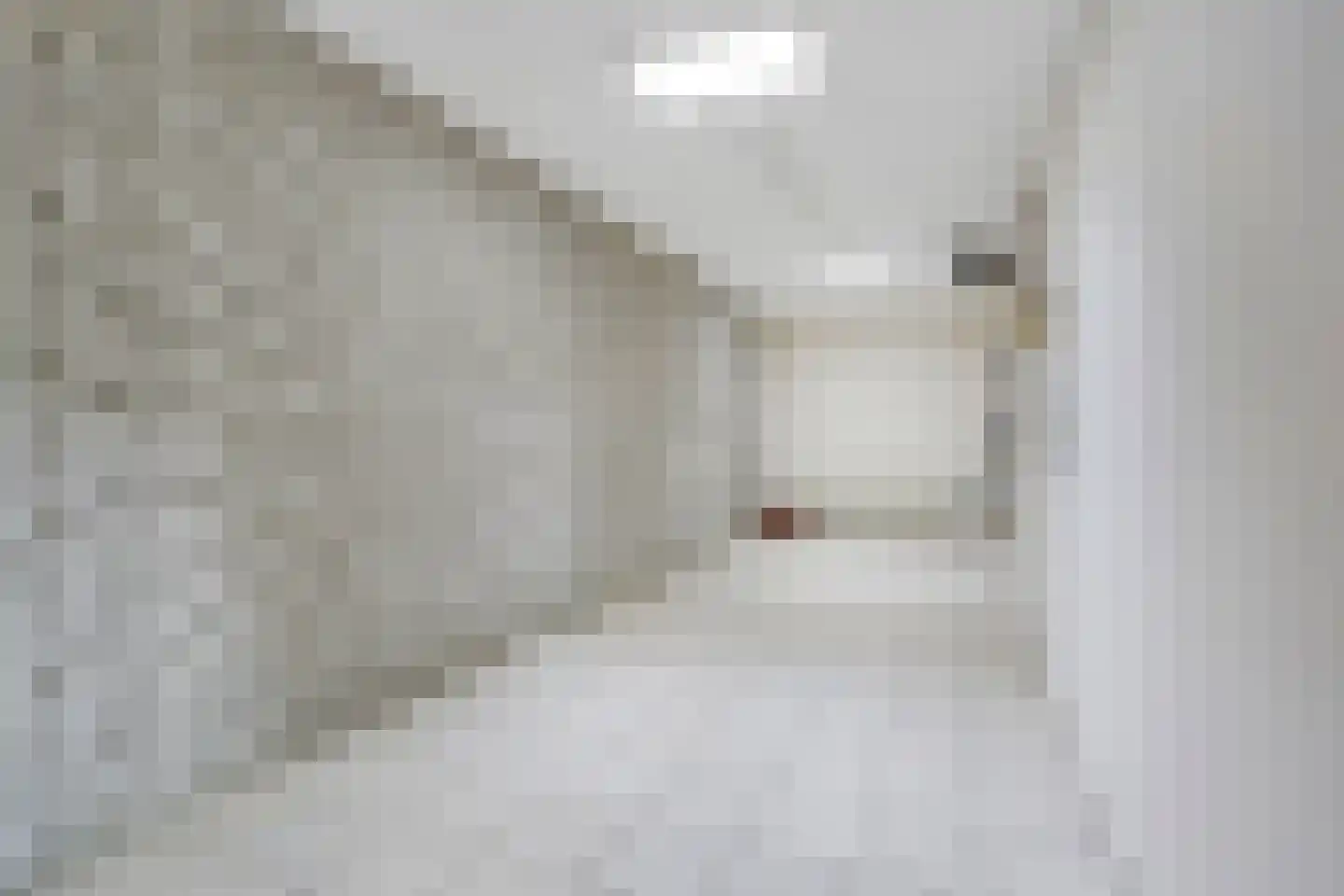 Nachtegaalstraat 6 Numansdorp thumbnail 18