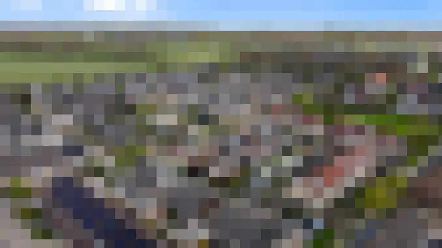 Nachtegaalstraat 6 Numansdorp thumbnail 29