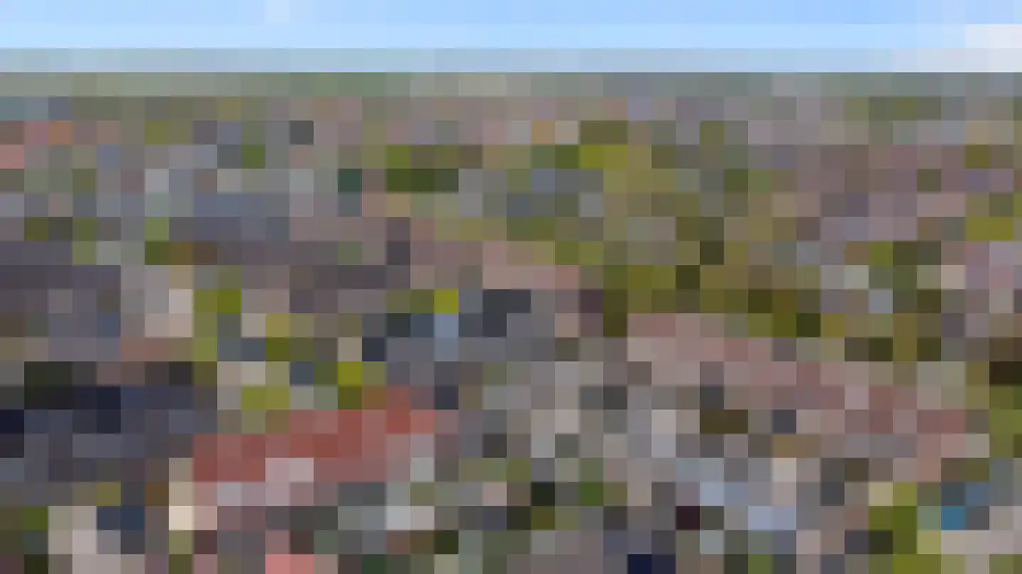Nachtegaalstraat 6 Numansdorp thumbnail 31