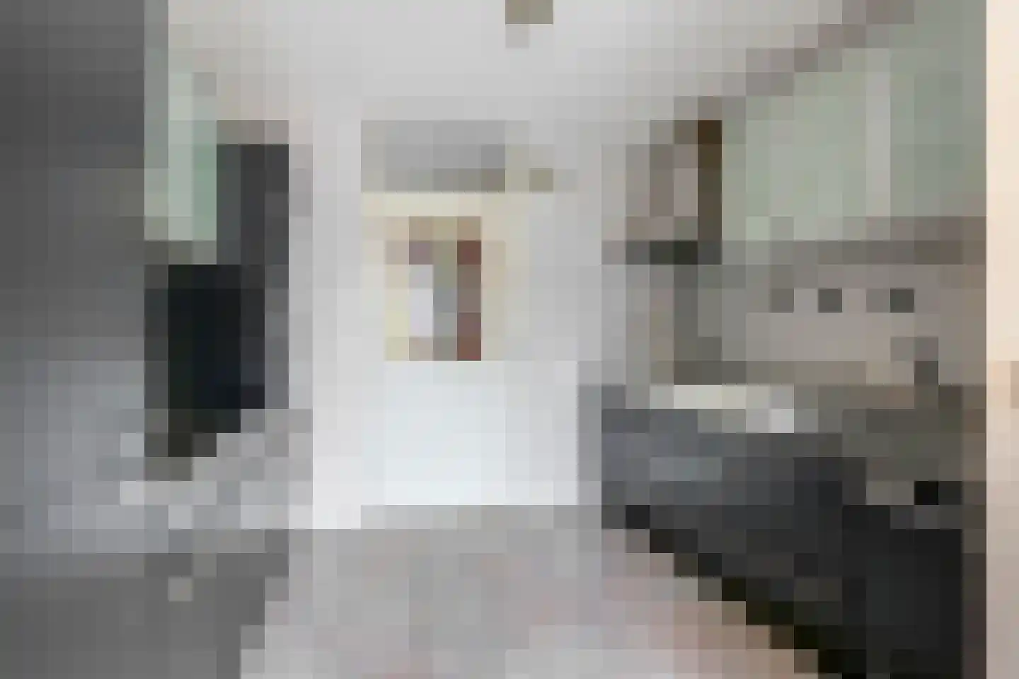 Nachtegaalstraat 6 Numansdorp thumbnail 4