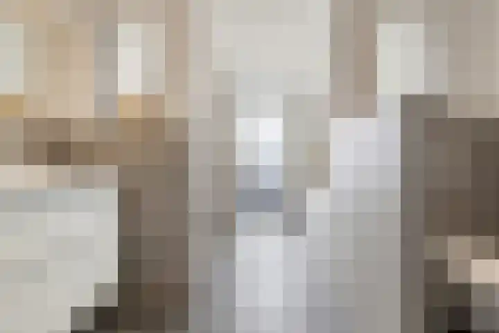 Nachtegaalstraat 61 Tegelen thumbnail 30