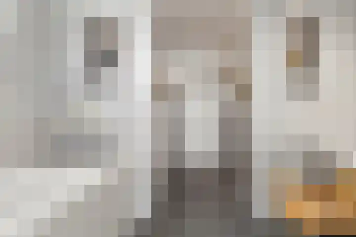 Nachtegaalstraat 61 Tegelen thumbnail 32