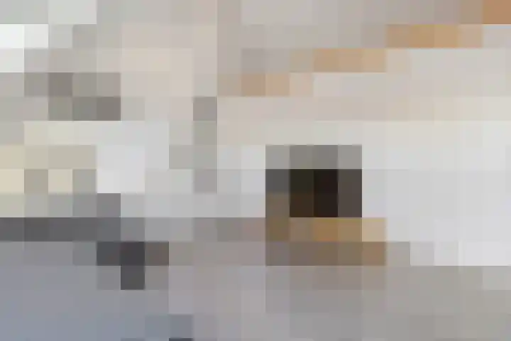 Nachtegaalstraat 61 Tegelen thumbnail 40