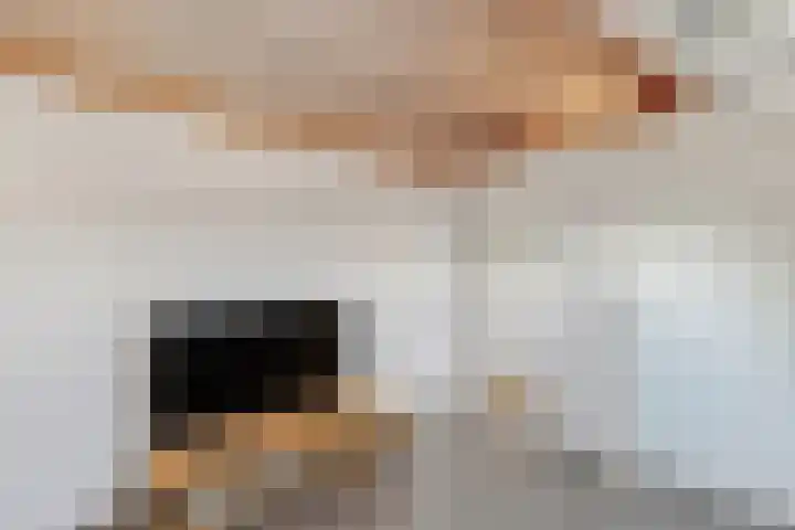 Nachtegaalstraat 61 Tegelen thumbnail 41