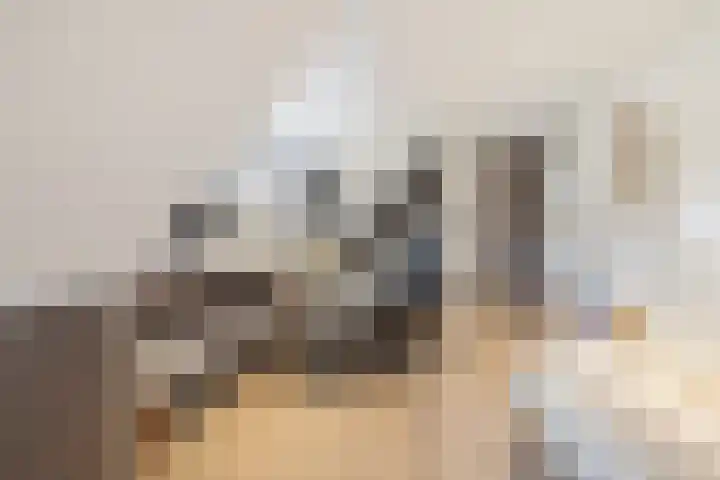 Nachtegaalstraat 61 Tegelen thumbnail 44