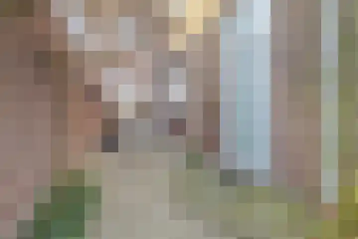 Nachtegaalstraat 61 Tegelen thumbnail 46