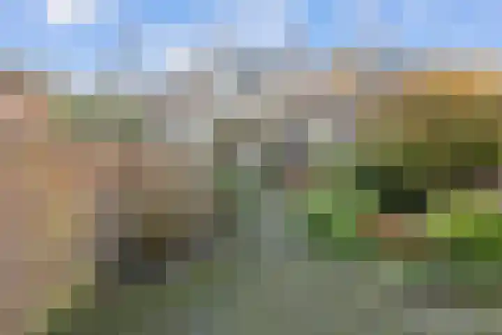 Nachtegaalstraat 61 Tegelen thumbnail 47