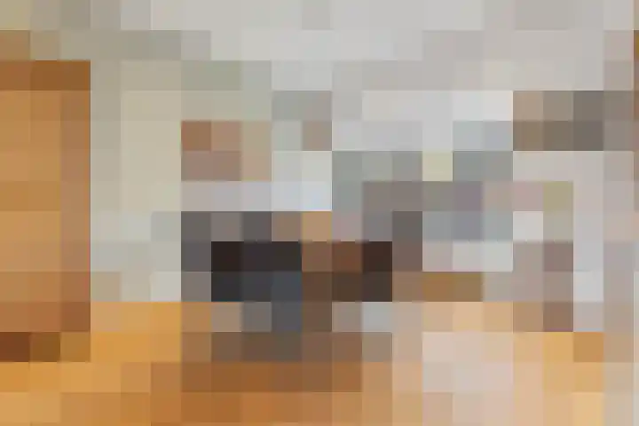 Nachtegaalstraat 61 Tegelen thumbnail 7