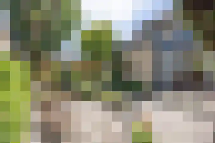 Nachtegaalstraat 63 Haaksbergen thumbnail 32
