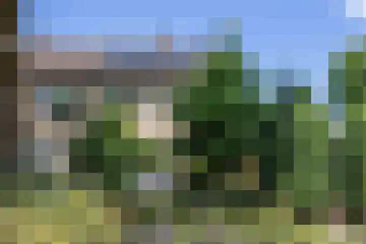 Nachtegaalstraat 63 Haaksbergen thumbnail 4