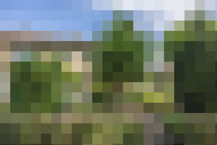 Nachtegaalstraat 63 Haaksbergen thumbnail 5