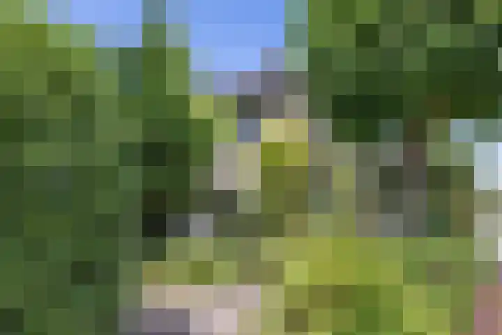 Nachtegaalstraat 63 Haaksbergen thumbnail 6