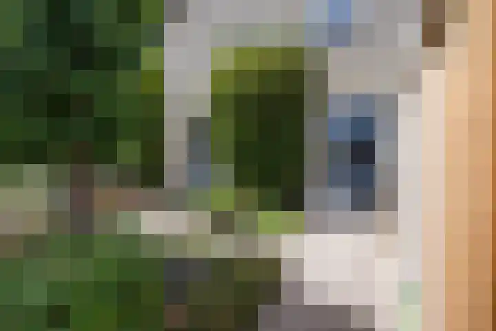 Nachtegaalstraat 63 Haaksbergen thumbnail 7