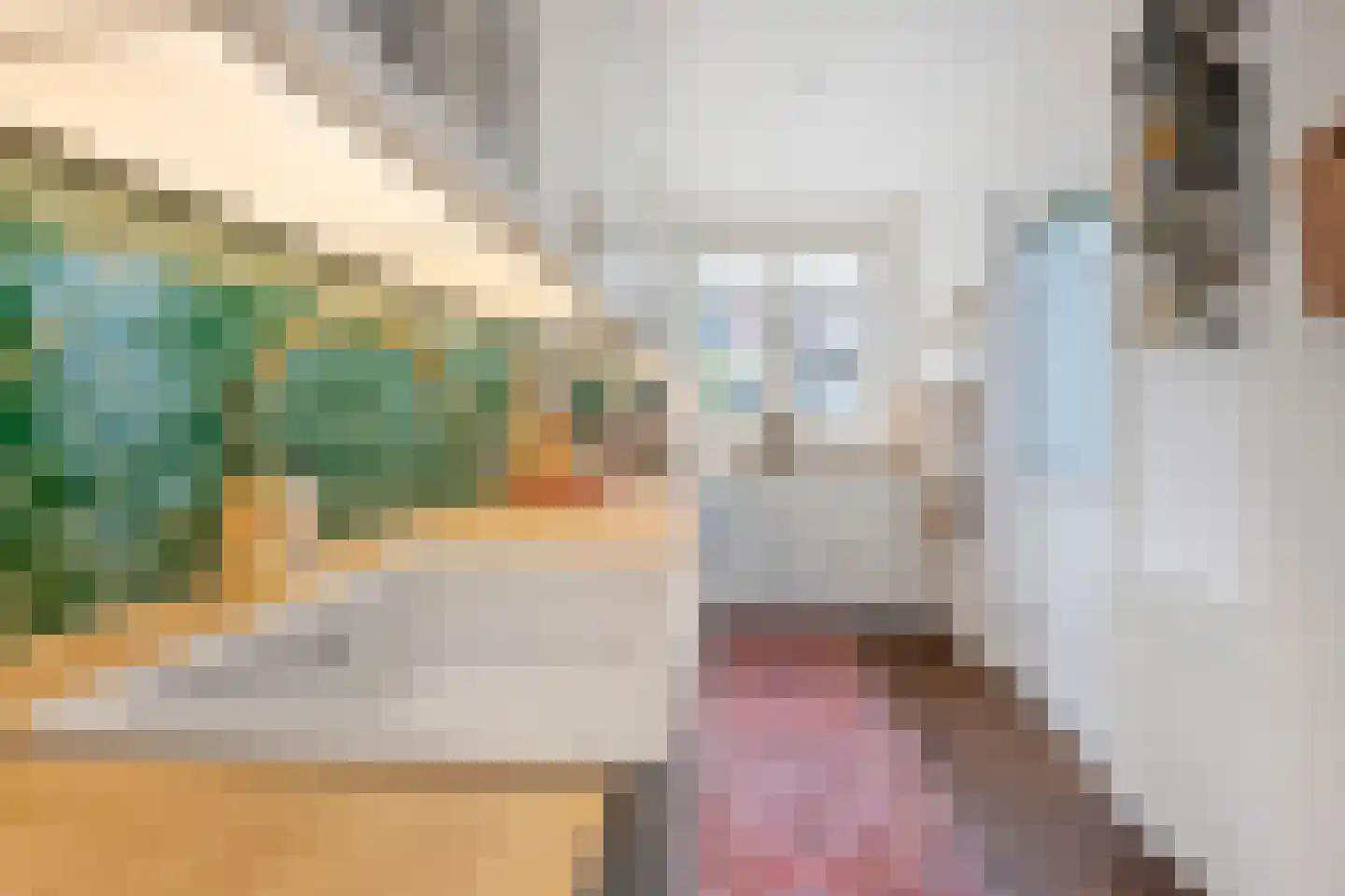 Nachtegaalstraat 66 Haarlem thumbnail 10