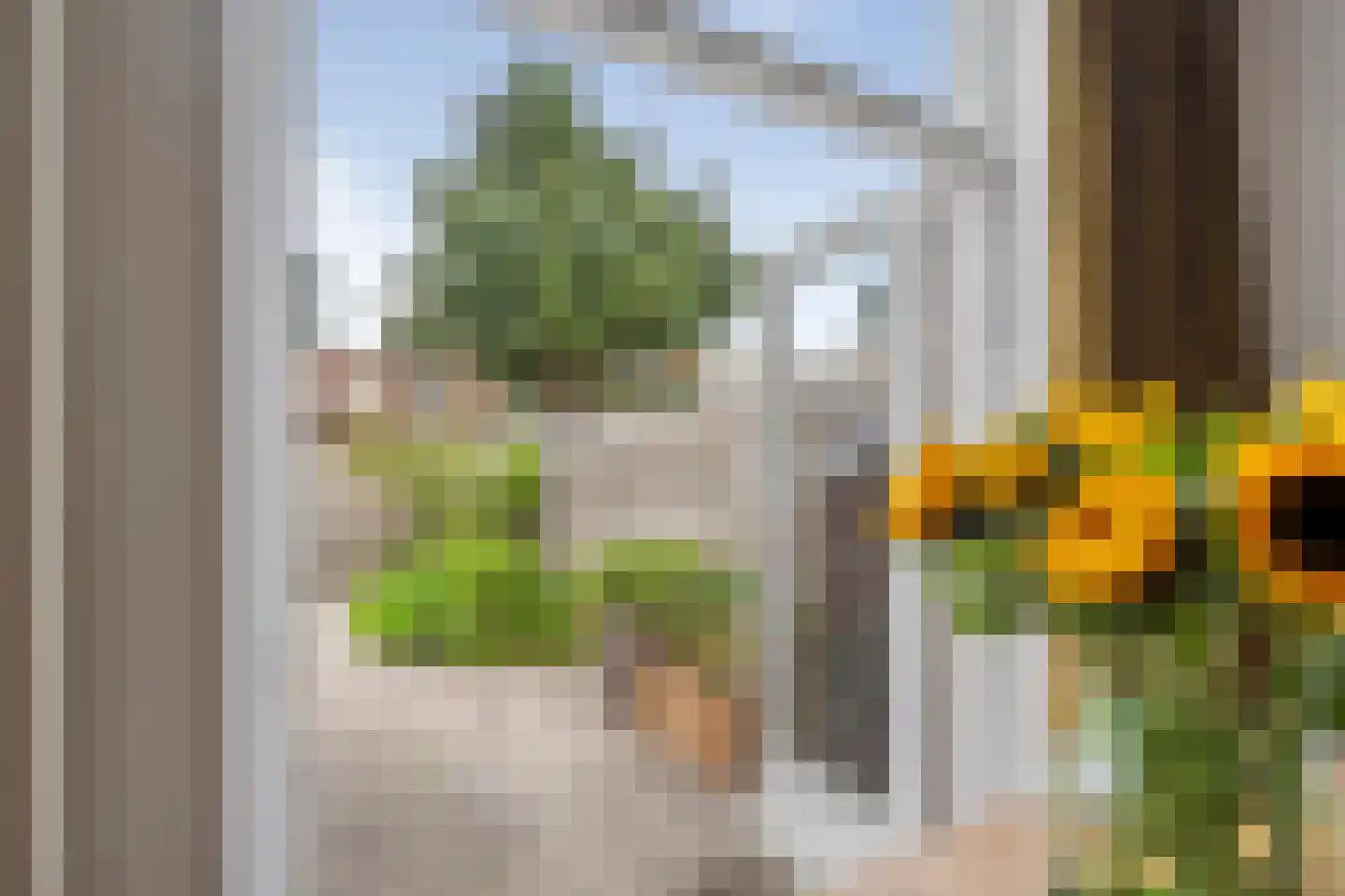 Nachtegaalstraat 66 Haarlem thumbnail 13