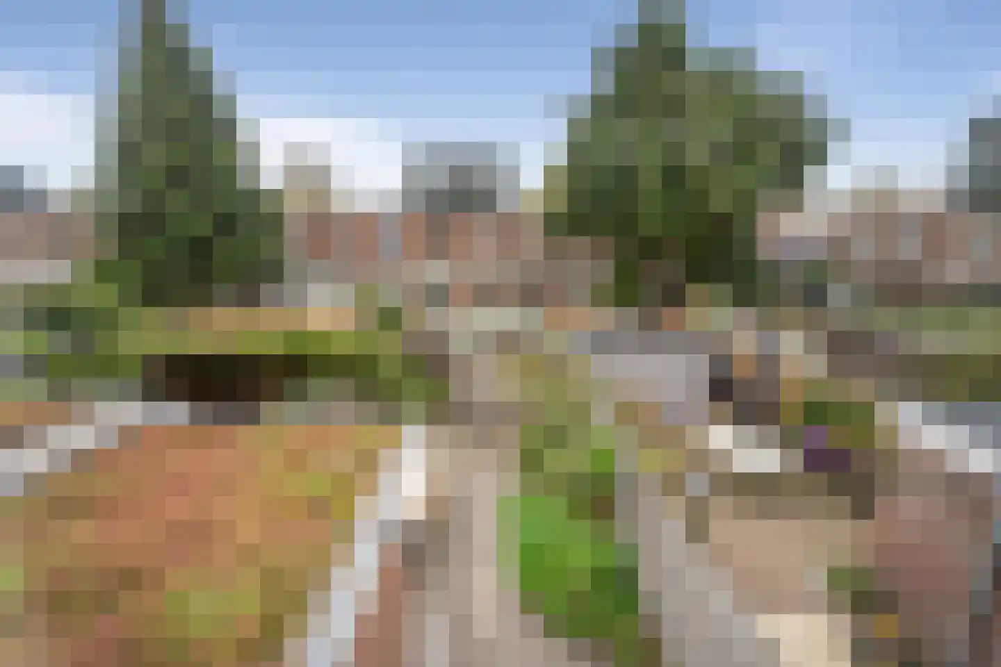 Nachtegaalstraat 66 Haarlem thumbnail 21
