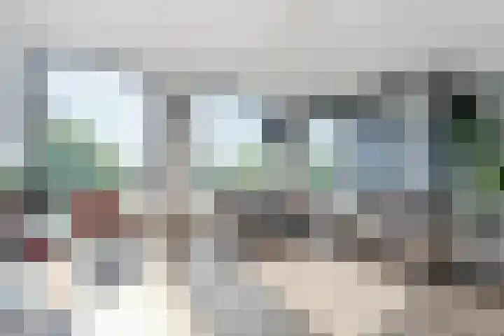 Nachtegaalstraat 7 D Zwolle thumbnail 18