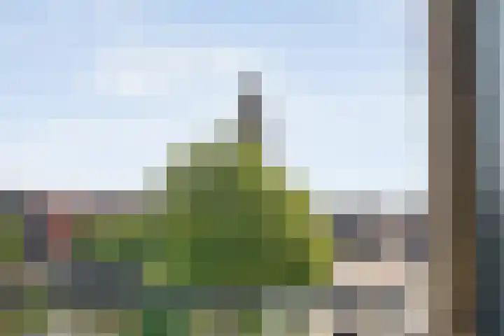 Nachtegaalstraat 7 D Zwolle thumbnail 21