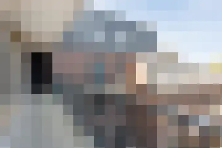 Nachtegaalstraat 7 D Zwolle thumbnail 36