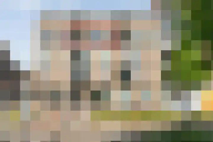 Nachtegaalstraat 7 D Zwolle thumbnail 4