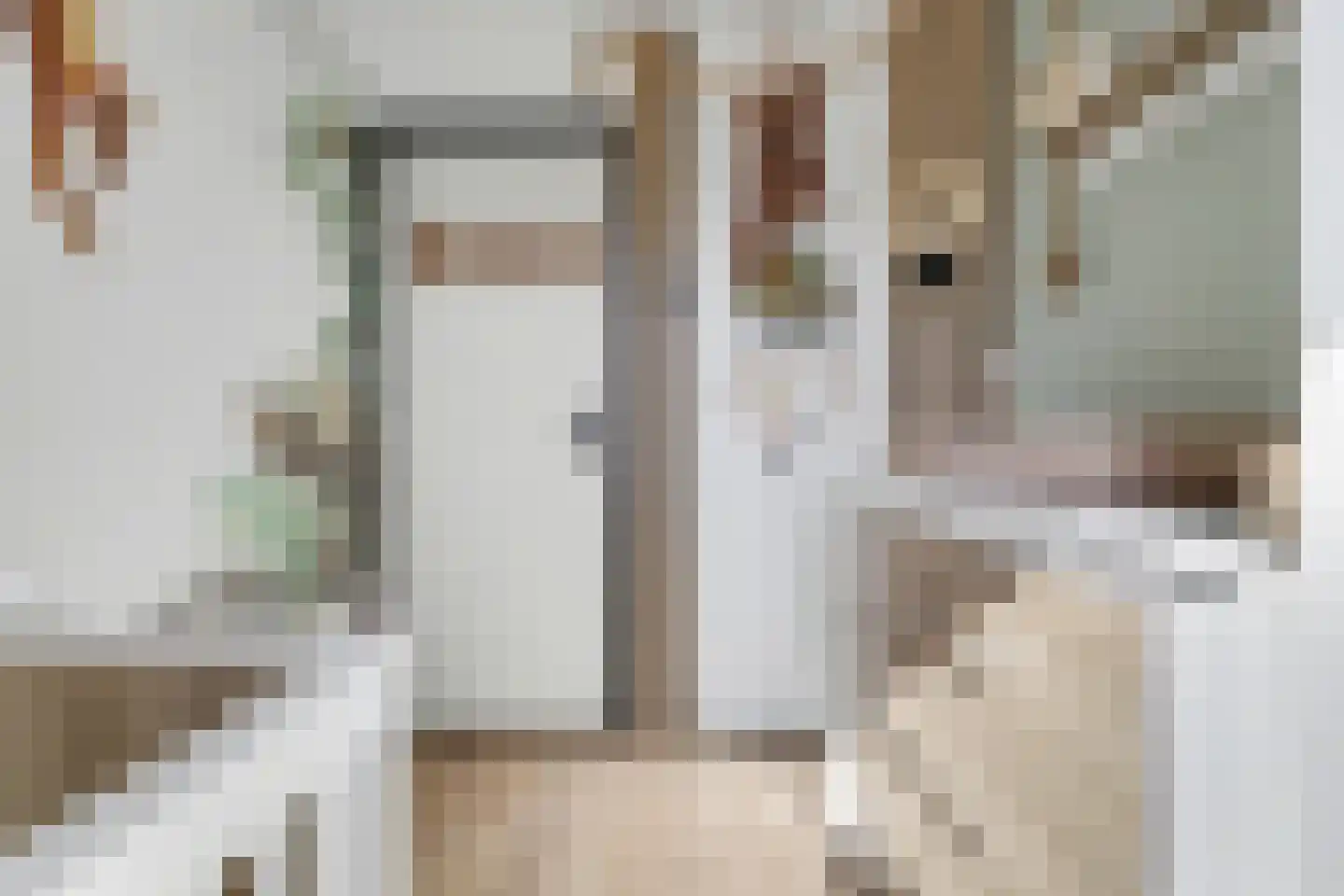 Nachtegaalstraat 7 Spijkenisse thumbnail 20
