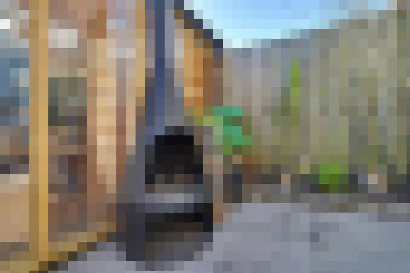 Nachtegaalstraat 7 Spijkenisse thumbnail 27