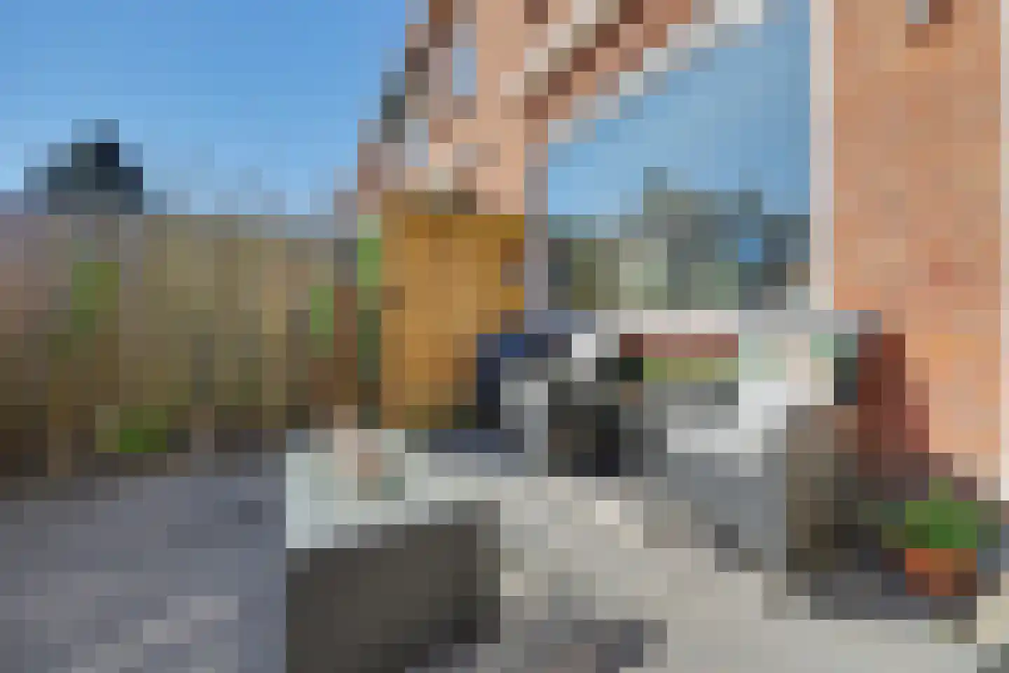 Nachtegaalstraat 7 Spijkenisse thumbnail 29