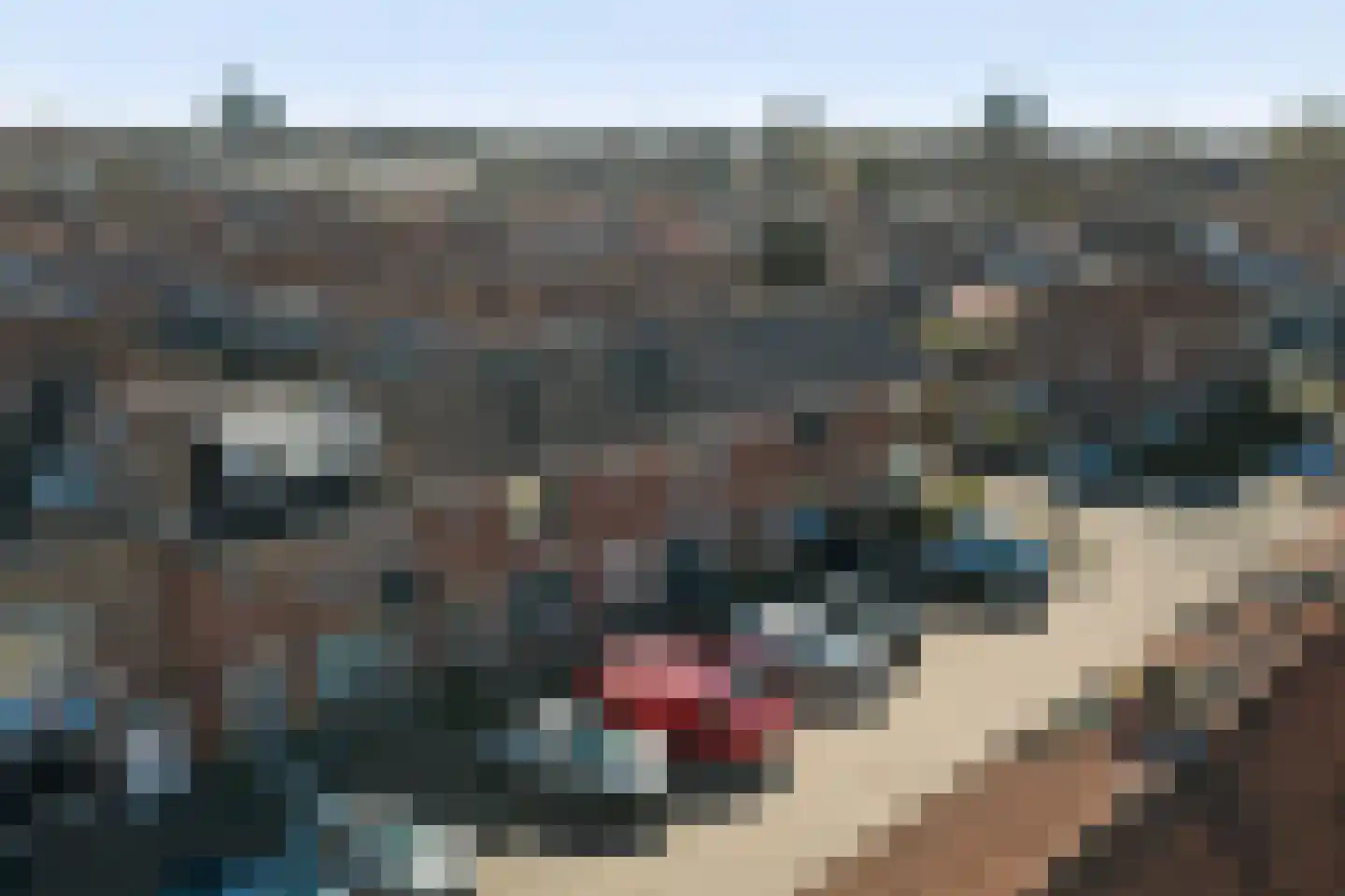 Nachtegaalstraat 7 Spijkenisse thumbnail 35