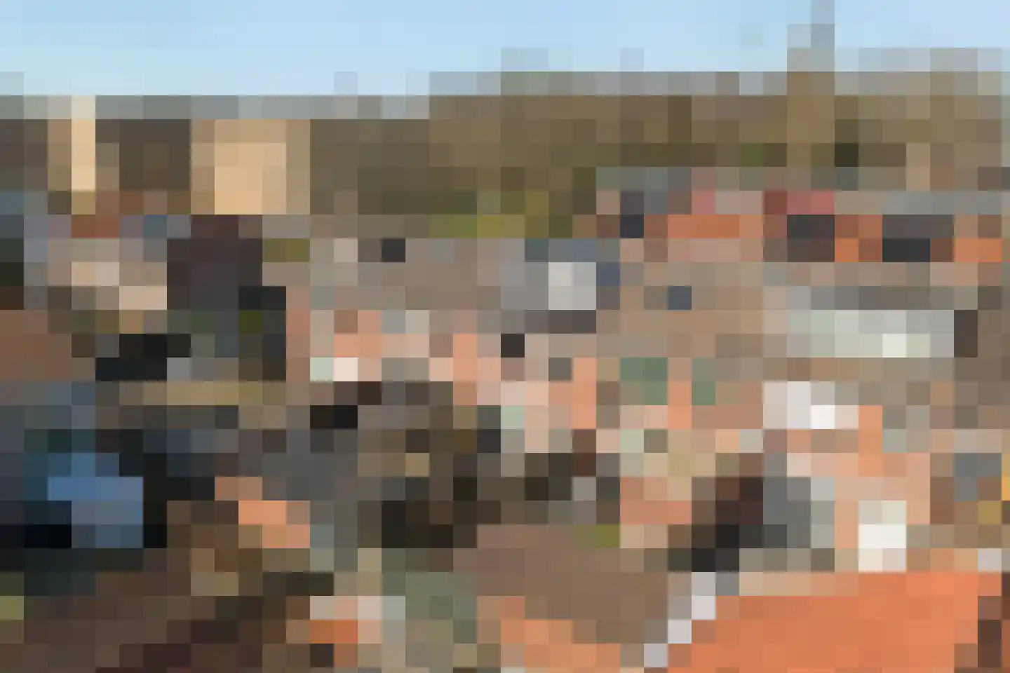Nachtegaalstraat 7 Spijkenisse thumbnail 37