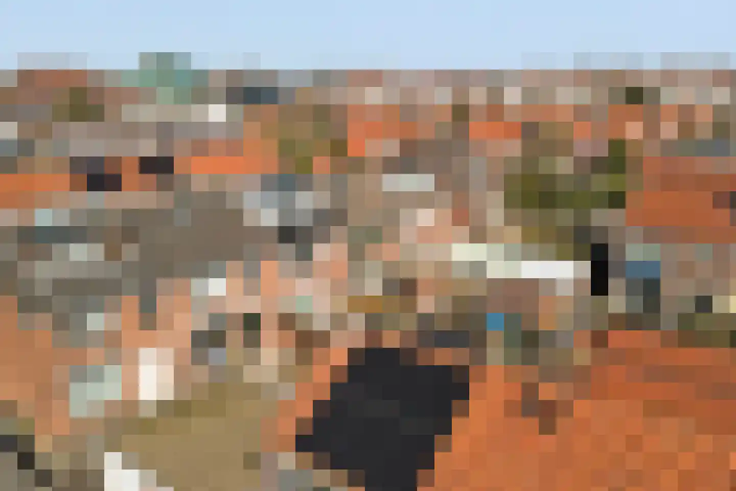 Nachtegaalstraat 7 Spijkenisse thumbnail 38