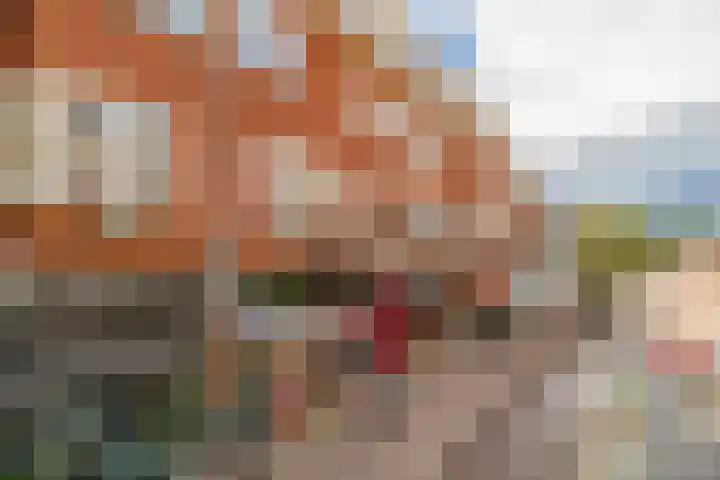 Nachtegaalstraat 75 A Utrecht thumbnail 30