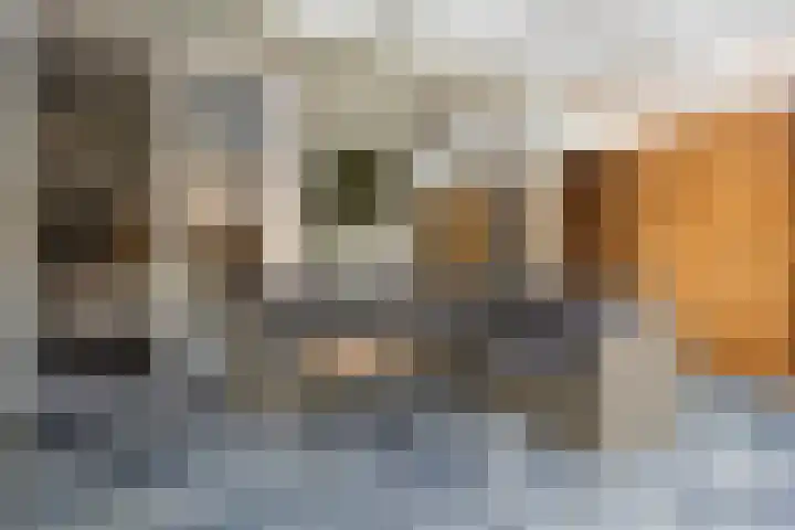 Nachtegaalstraat 8 Den Helder thumbnail 12