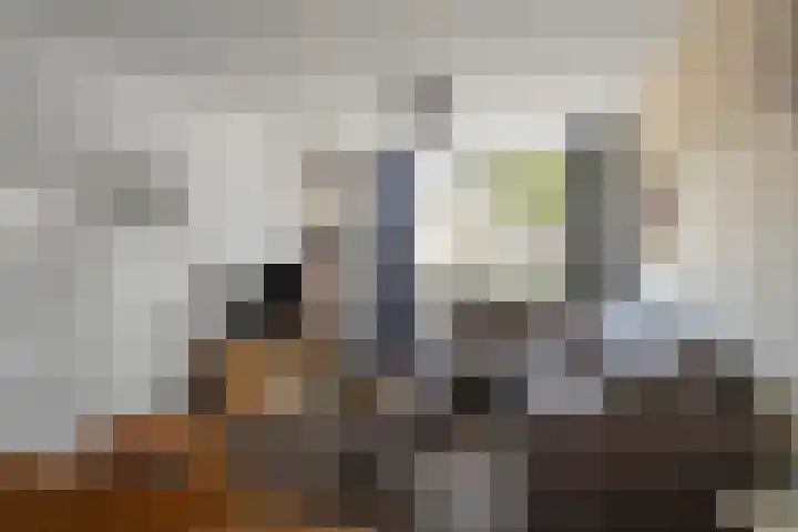 Nachtegaalstraat 8 Den Helder thumbnail 6