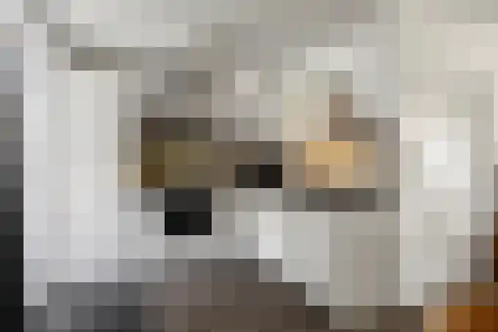 Nachtegaalstraat 8 Den Helder thumbnail 9