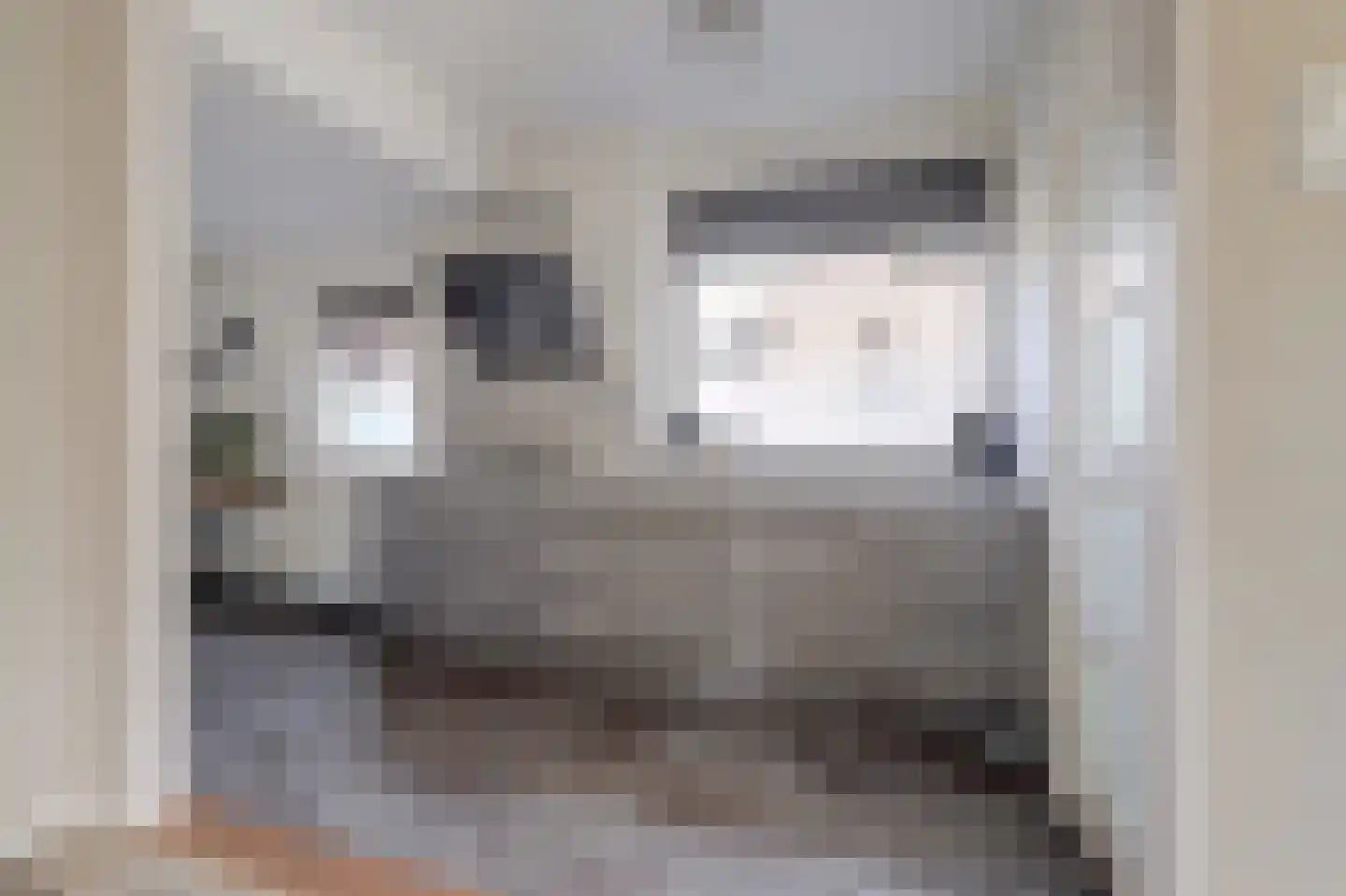 Nachtegaalstraat 8 Eefde thumbnail 12