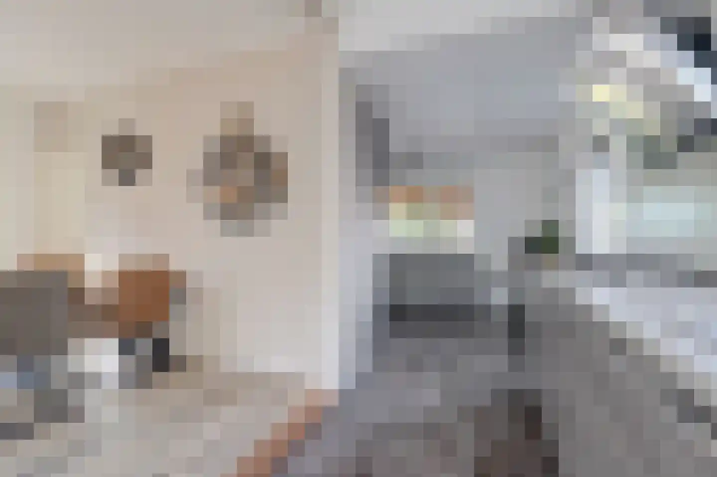 Nachtegaalstraat 8 Eefde thumbnail 13