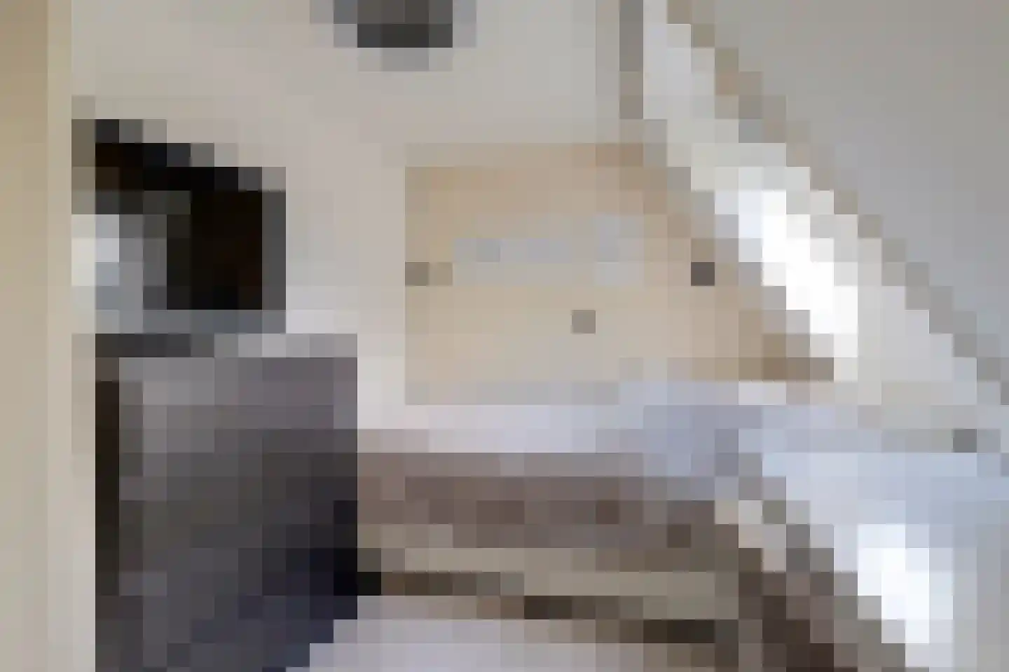 Nachtegaalstraat 8 Eefde thumbnail 21