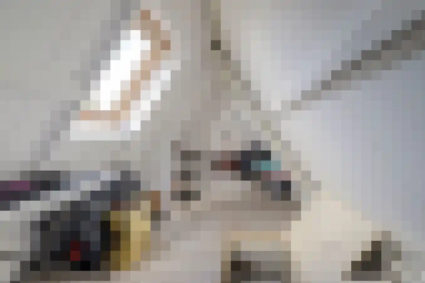 Nachtegaalstraat 8 Eefde thumbnail 25