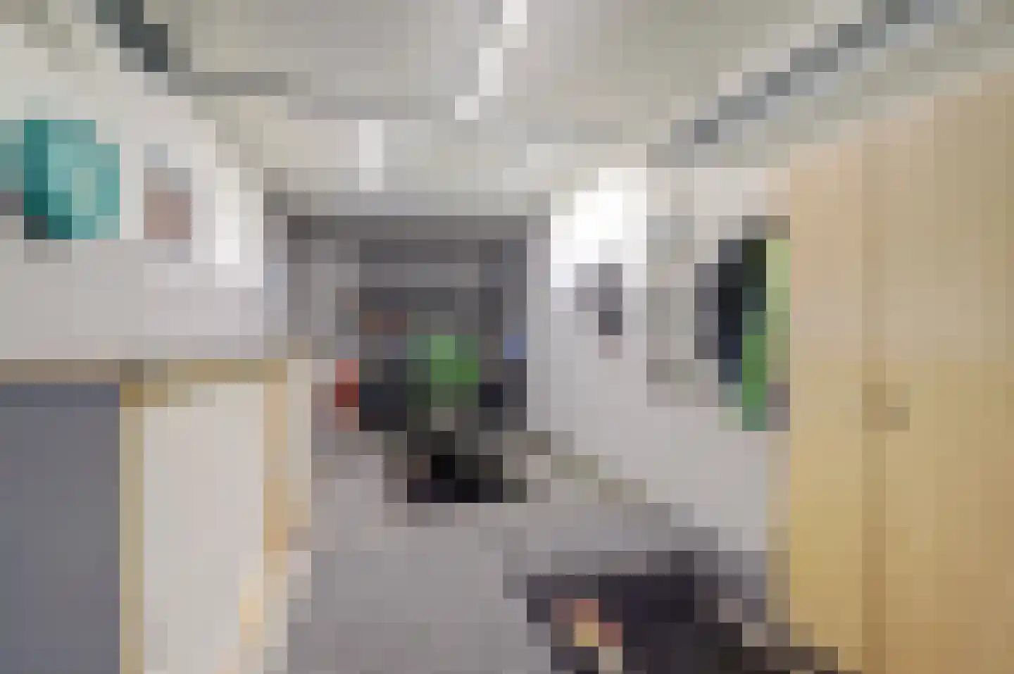 Nachtegaalstraat 8 Eefde thumbnail 29