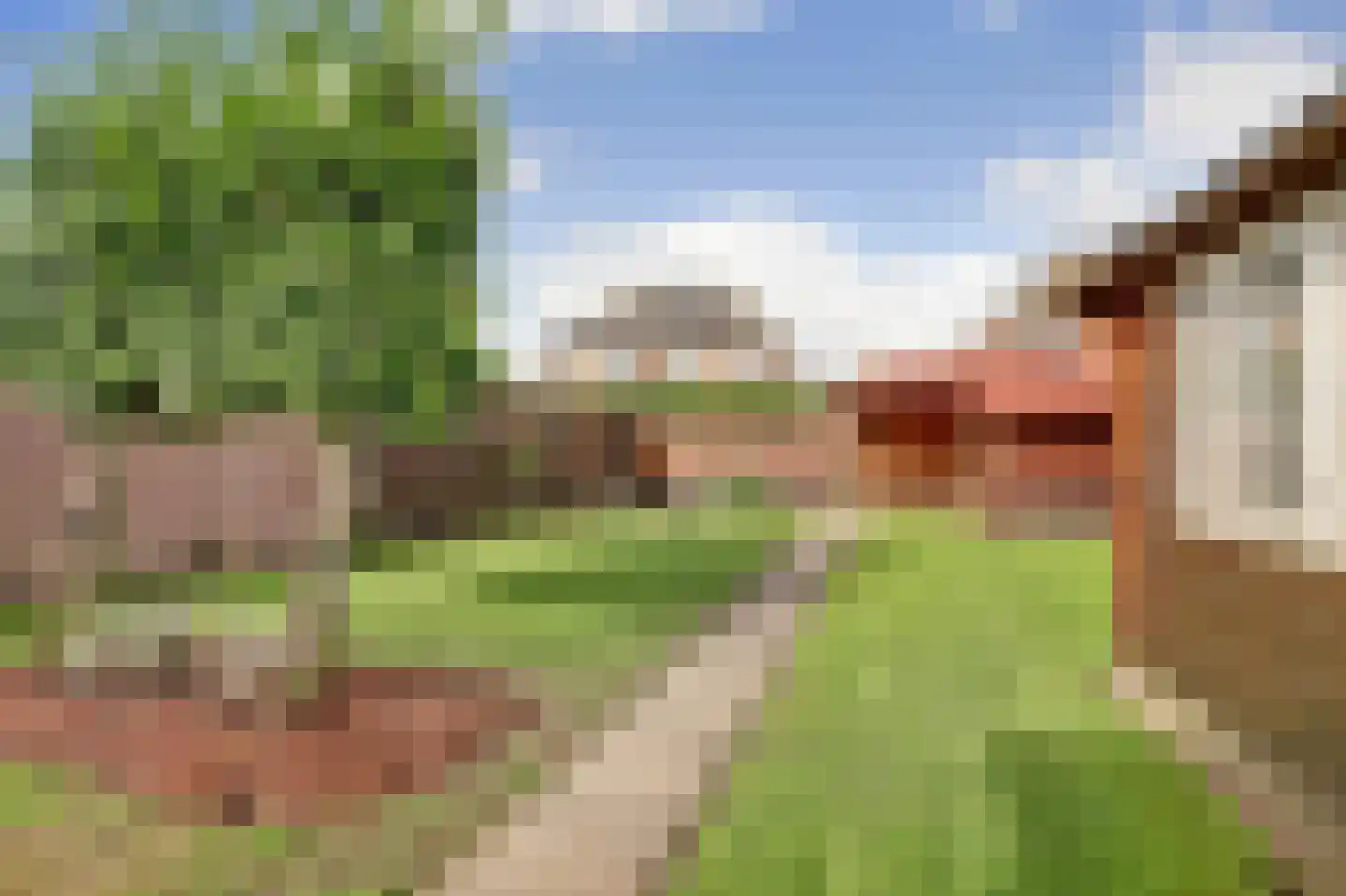 Nachtegaalstraat 8 Eefde thumbnail 30