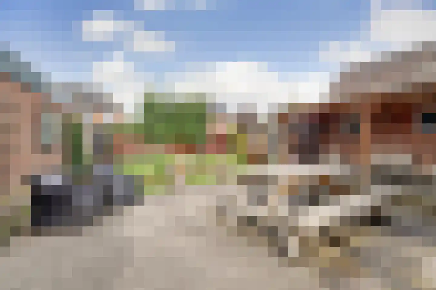 Nachtegaalstraat 8 Eefde thumbnail 4