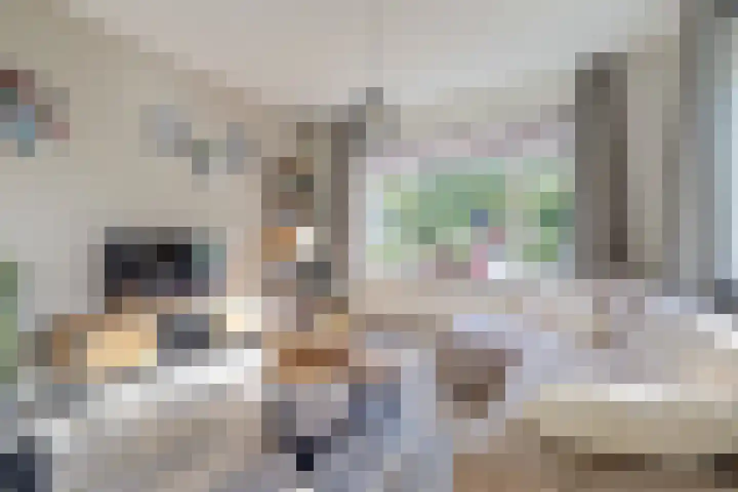 Nachtegaalstraat 8 Eefde thumbnail 6