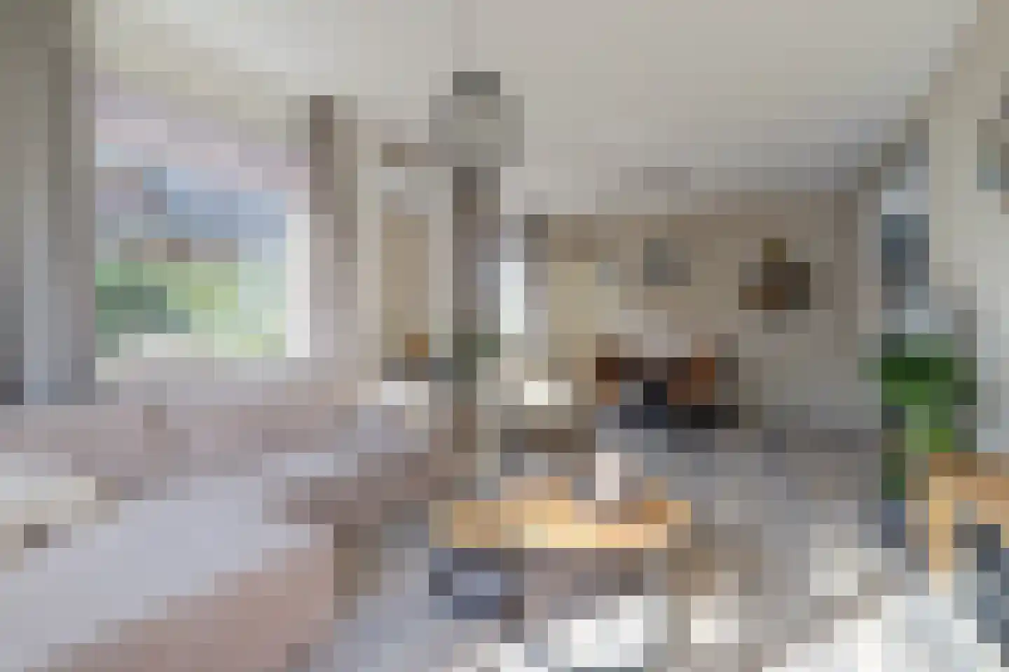 Nachtegaalstraat 8 Eefde thumbnail 8
