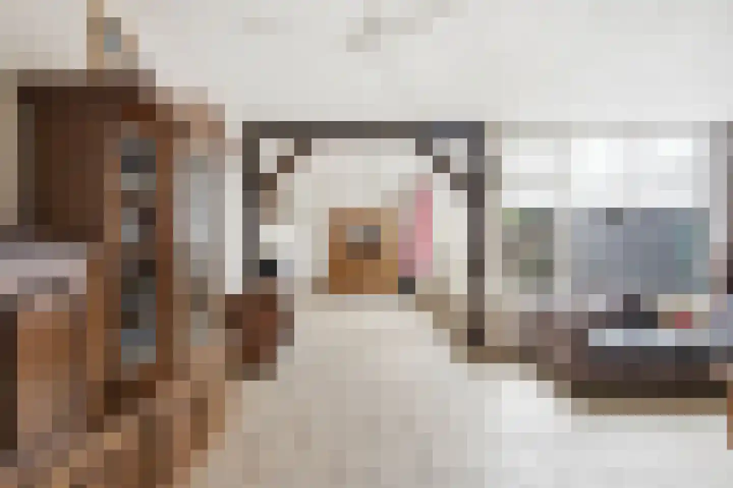Nachtegaalstraat 8 Mill thumbnail 10
