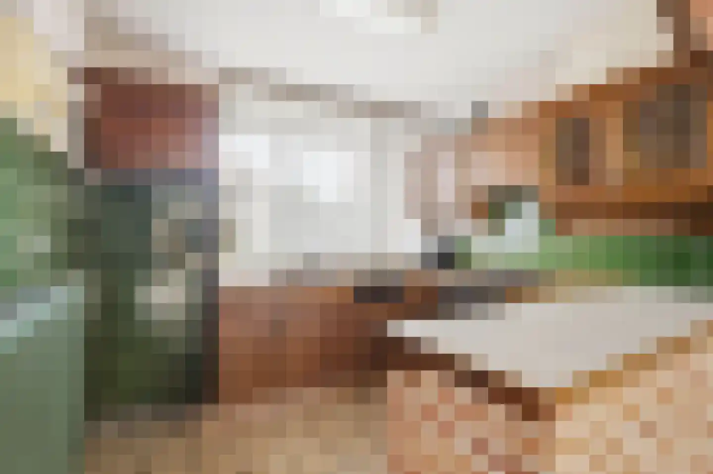 Nachtegaalstraat 8 Mill thumbnail 12