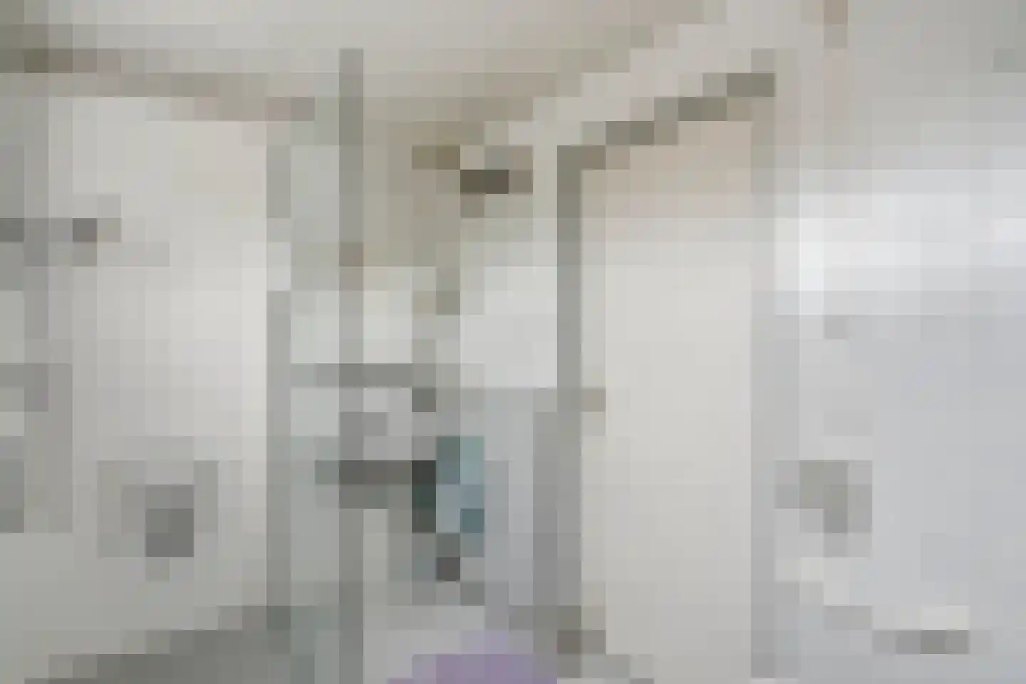 Nachtegaalstraat 8 Mill thumbnail 23