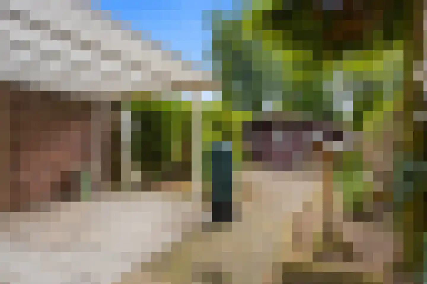 Nachtegaalstraat 8 Mill thumbnail 27